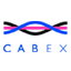 Итоги участия «Элекон» на выставке Cabex 2013