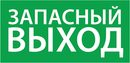 ЭЗ "Выход EXIT" (125х250)